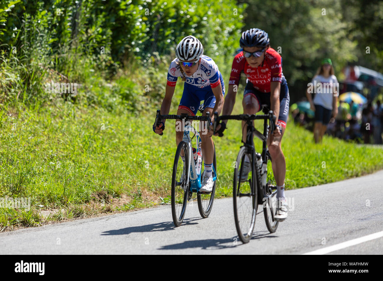 Bosdarros, Francia - Luglio 19, 2019: Due ciclisti femmina (Shara Gillow di FDJ e Edwige Pitel di Cogeas-Mettler) giro in Bosdarros durante la rotta da Foto Stock