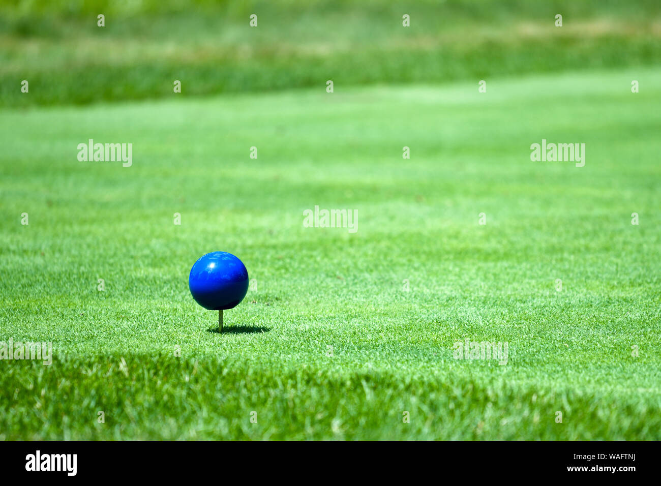Tee blu marcatore o retro tees o campionato tees, il blues ha rappresentato il campo da golf più lunga yardage. Foto Stock