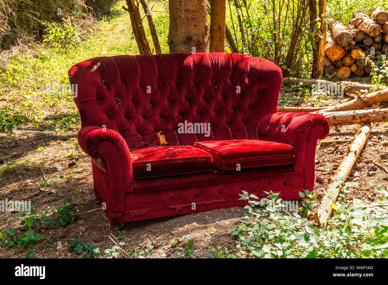 Un vecchio divano rosso è stato illegalmente smaltiti nella foresta Foto Stock