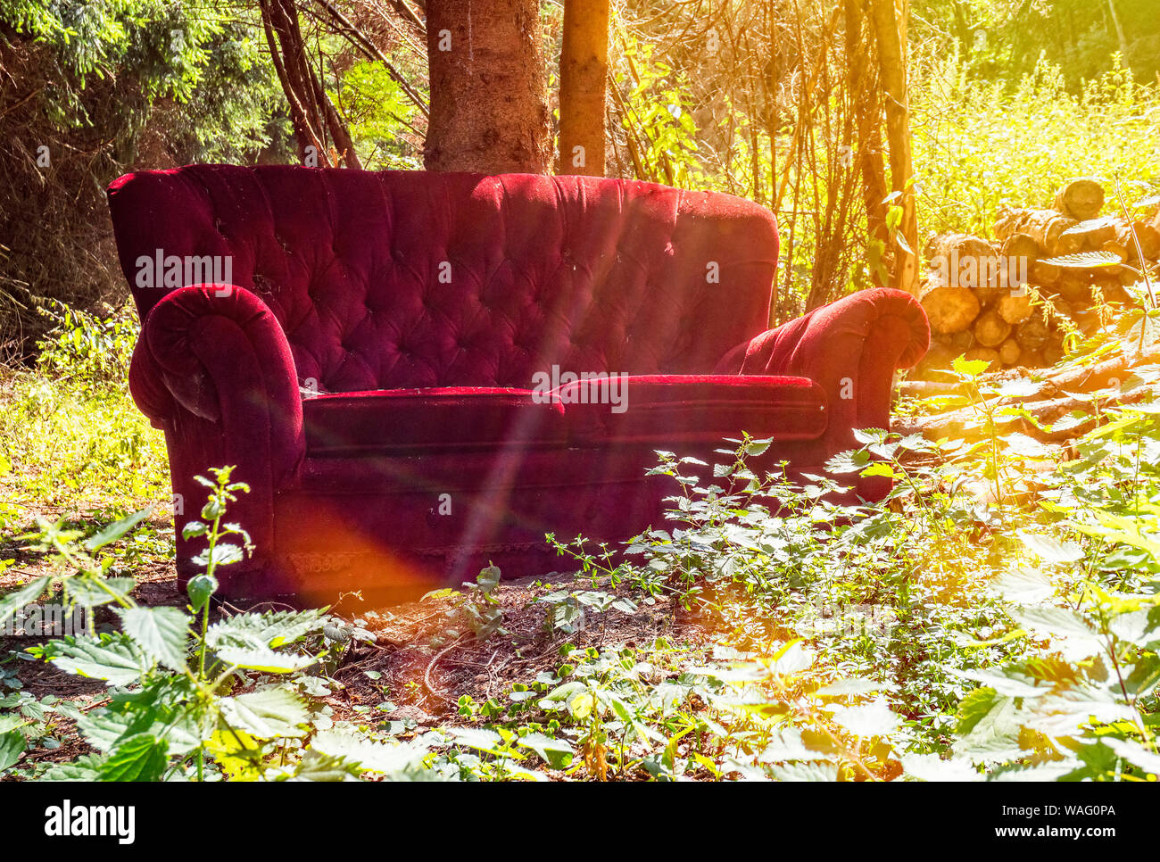 Un vecchio divano rosso è stato illegalmente smaltiti nella foresta Foto Stock