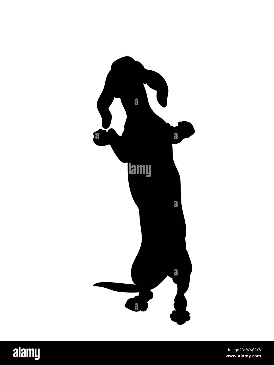 Cane si erge, silhouette, vettore, sfondo bianco Illustrazione Vettoriale