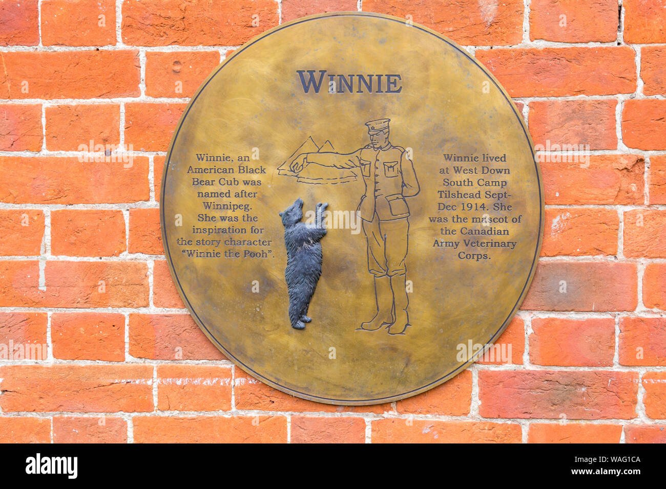 Winnie lapide sulla parete del Tilshead Village Hall a Tilshead, vicino a Salisbury, Wiltshire Regno Unito nel mese di agosto Foto Stock