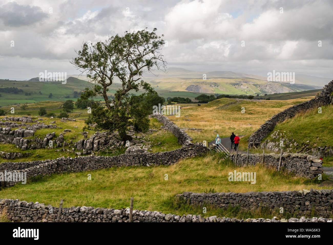 Winskill sopra pietre Langcliffe nel Yorkshire Dales Foto Stock