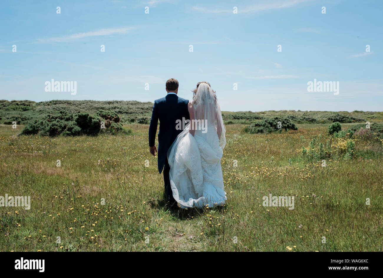 Sposa e lo sposo a piedi attraverso un campo di verde sul loro giorno di nozze Foto Stock