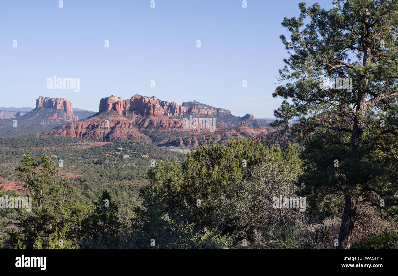 Sobborghi di Sedona nel tardo pomeriggio visto dalla distanza. Il Red Rock paesaggi con un grande albero verde in primo piano Foto Stock