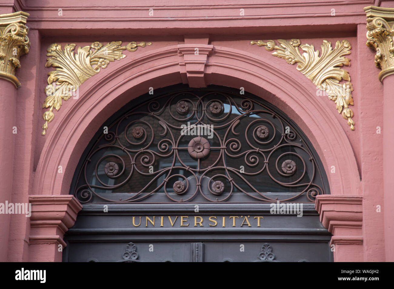 Museo università di Heidelberg, Germania Foto Stock