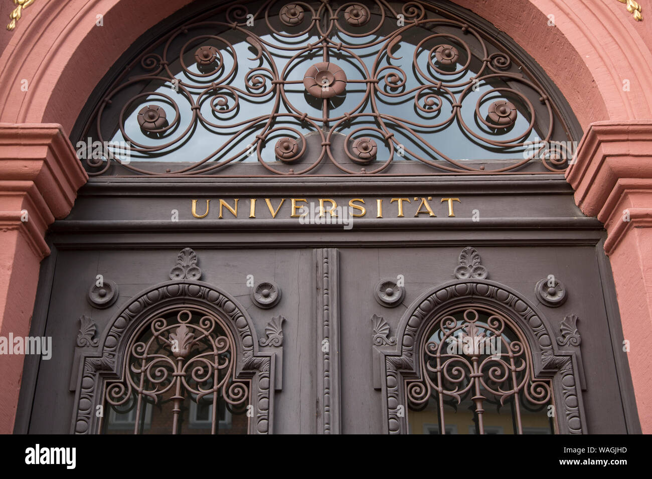 Porta della University Museum, Heidelberg, Germania Foto Stock