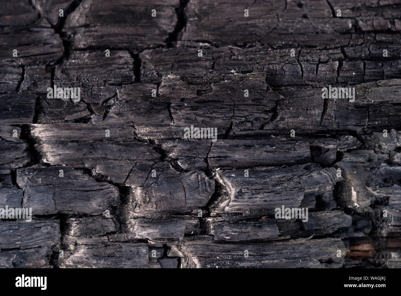 Texture di sfondo nero - legno carbonizzati Foto Stock