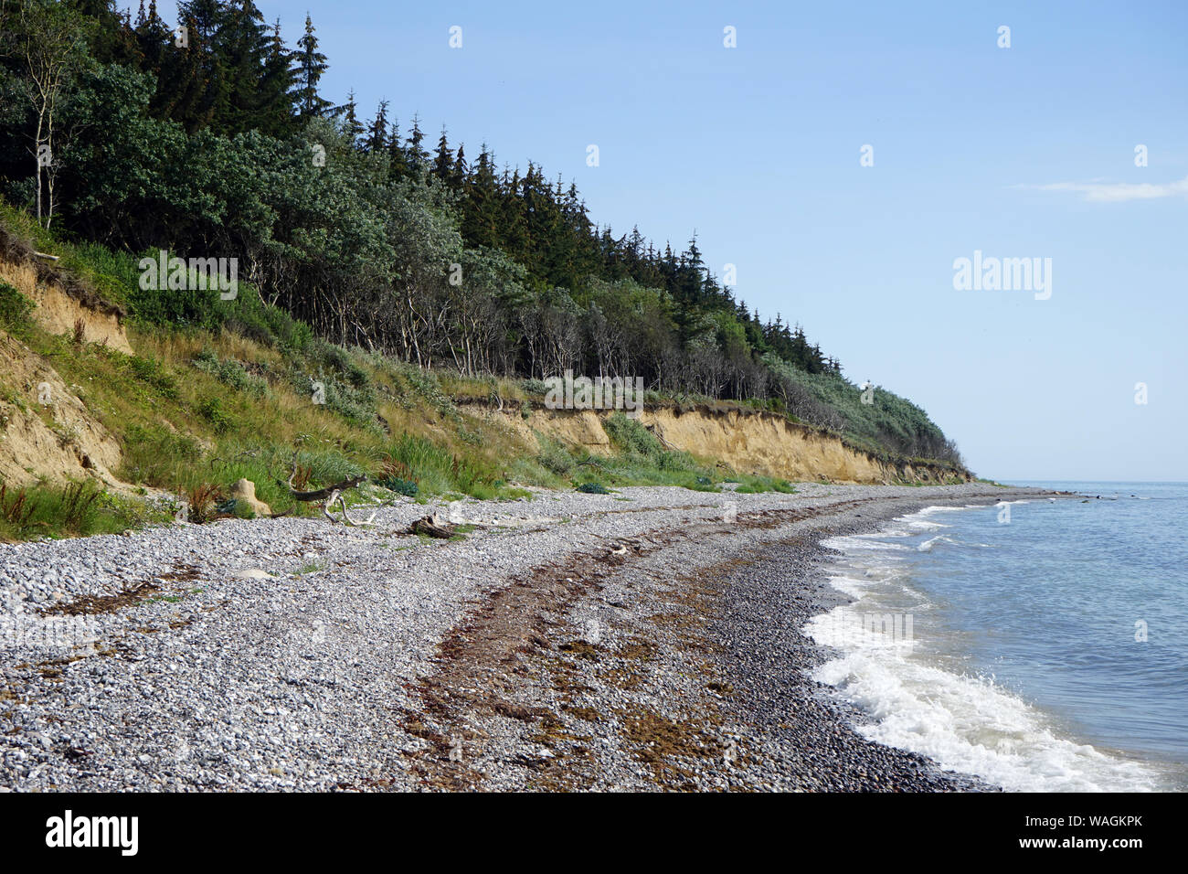 Spiaggia sulla costa del Mar Baltico in Danimarca Foto Stock