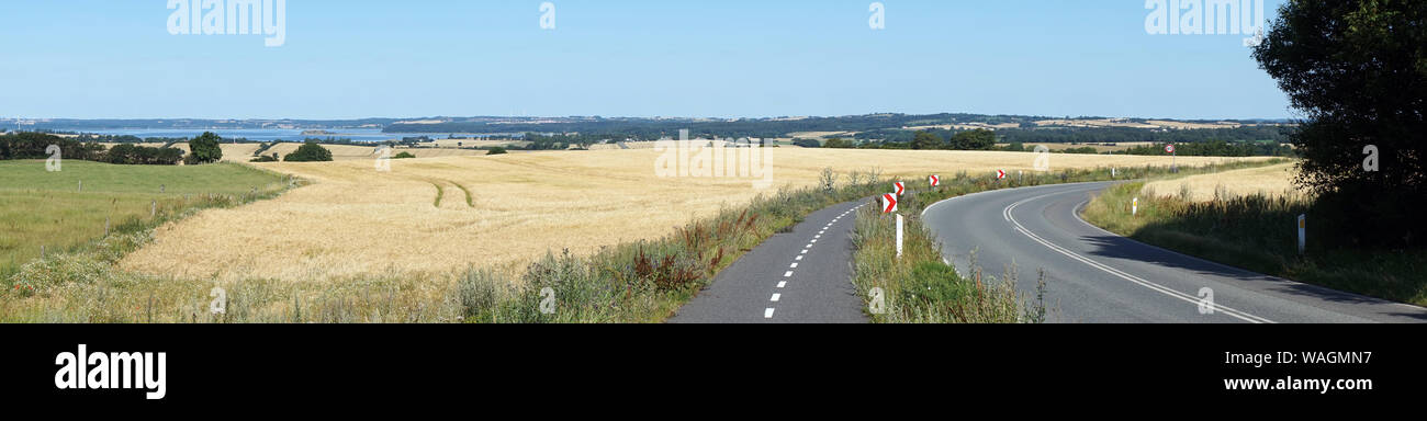 Panorama di strada asfaltata e campo di grano in Danimarca Foto Stock