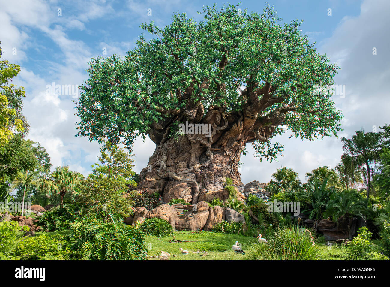 Orlando, Florida. Agosto 14, 2019. .Bella vista di albero della vita al regno animale presso il Walt Disney World area Foto Stock