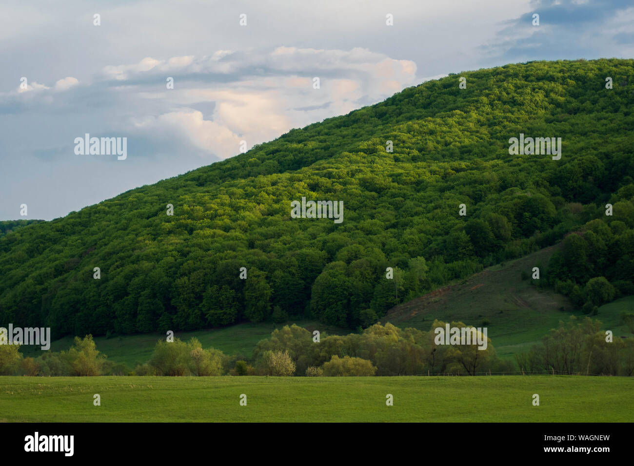 Cielo nuvoloso e colline prato. Belle colline verdi e bellissimo cielo nuvoloso. Splendido verde collina di rotolamento in estate. Bellissimo prato erboso sulla collina. Foto Stock