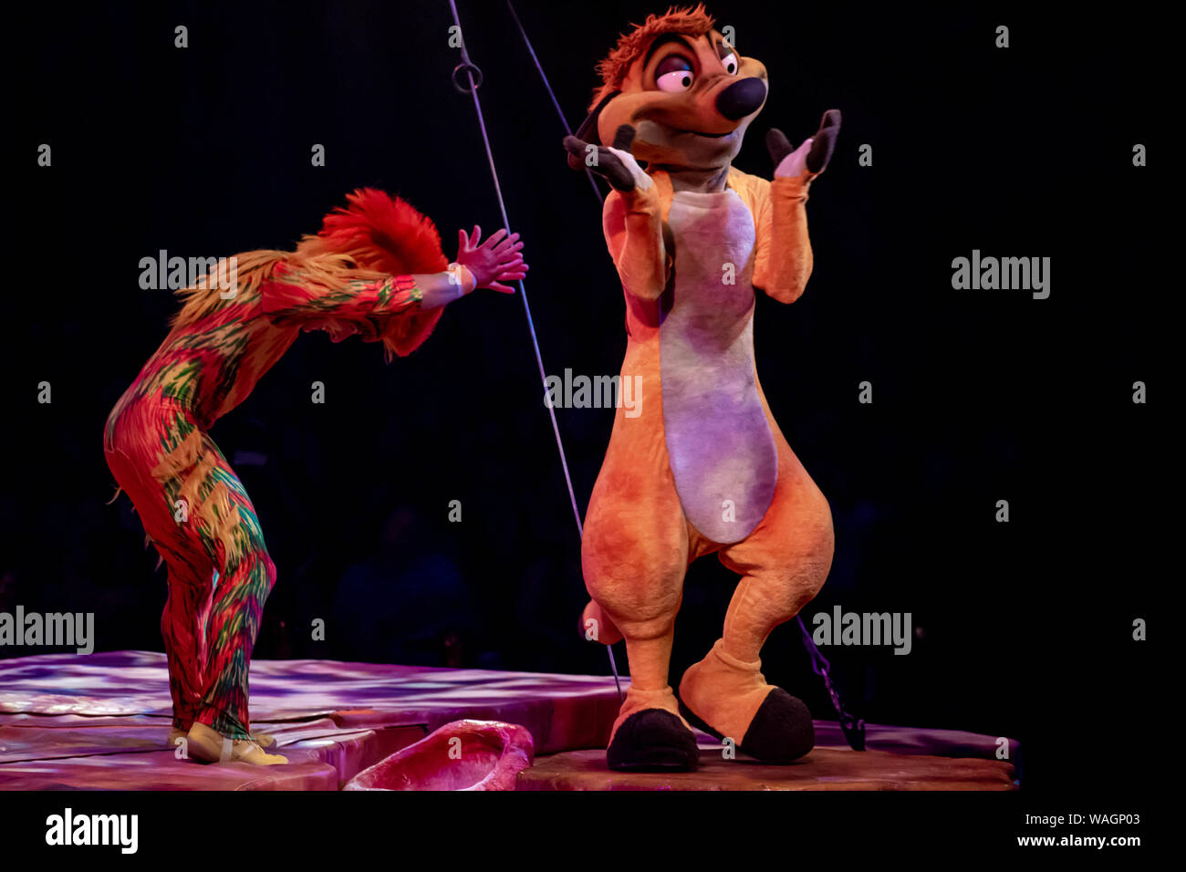 Orlando, Florida. Agosto 14, 2019. Monkey acrobat e Timon in Lion King Festival al regno animale Foto Stock