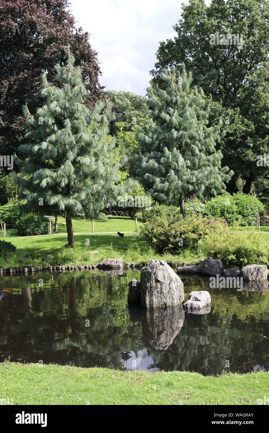 Kyoto Garden nella zona londinese di Holland Park Foto Stock