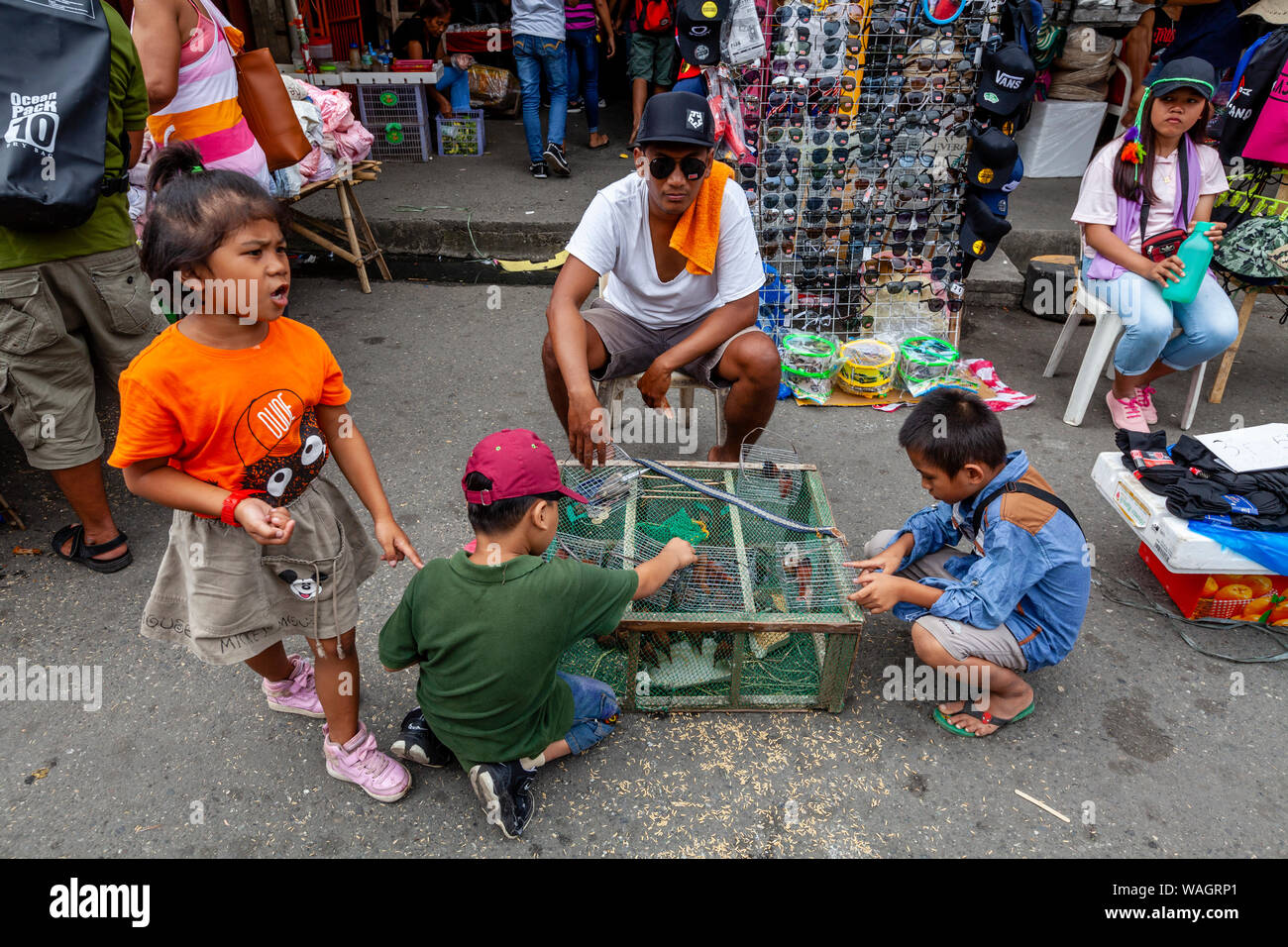 Bambini filippini Guardando gli uccelli in gabbie, Kalibo, Panay Island, Aklan Provincia delle Filippine. Foto Stock