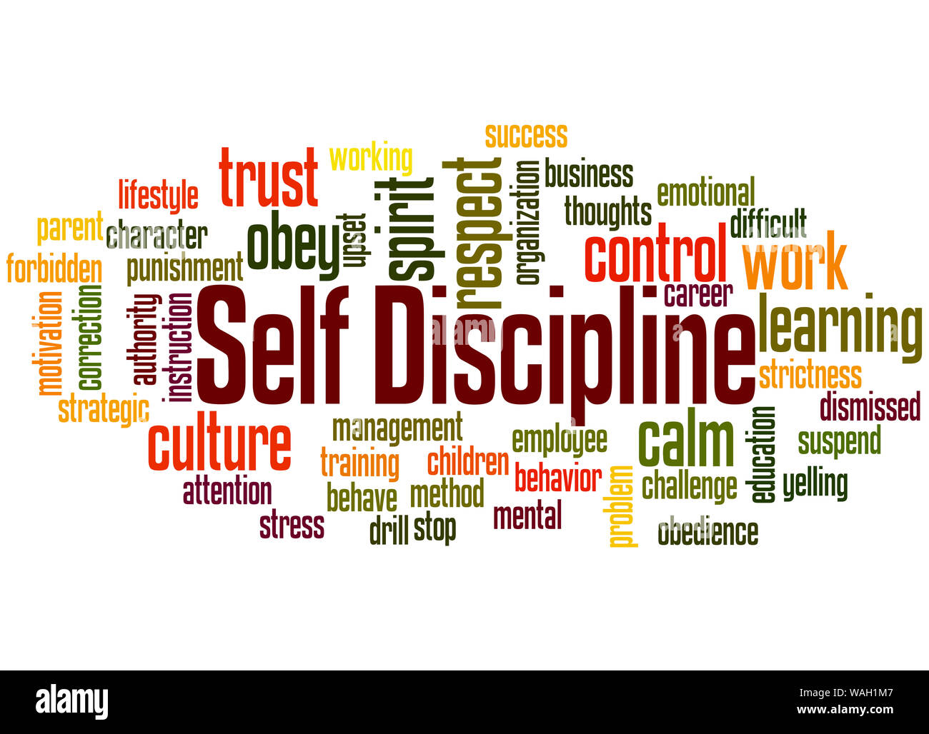 Autodisciplina parola concetto cloud su sfondo bianco. Foto Stock