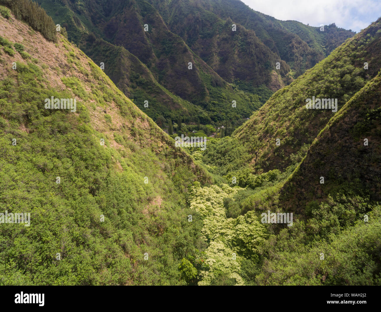 Vista aerea del Iao Valley Park Sate Maui Hawaii Foto Stock