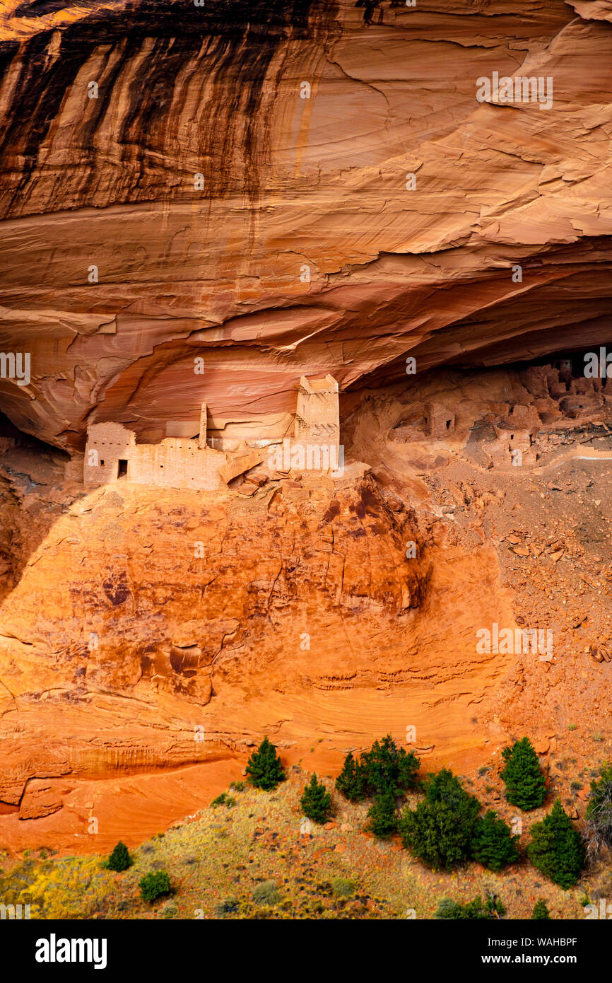 Mummia Grotta rovina, Canyon De Chelly monumento nazionale. Foto Stock