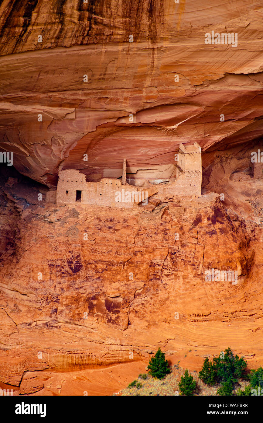 Mummia Grotta rovina, Canyon De Chelly monumento nazionale. Foto Stock