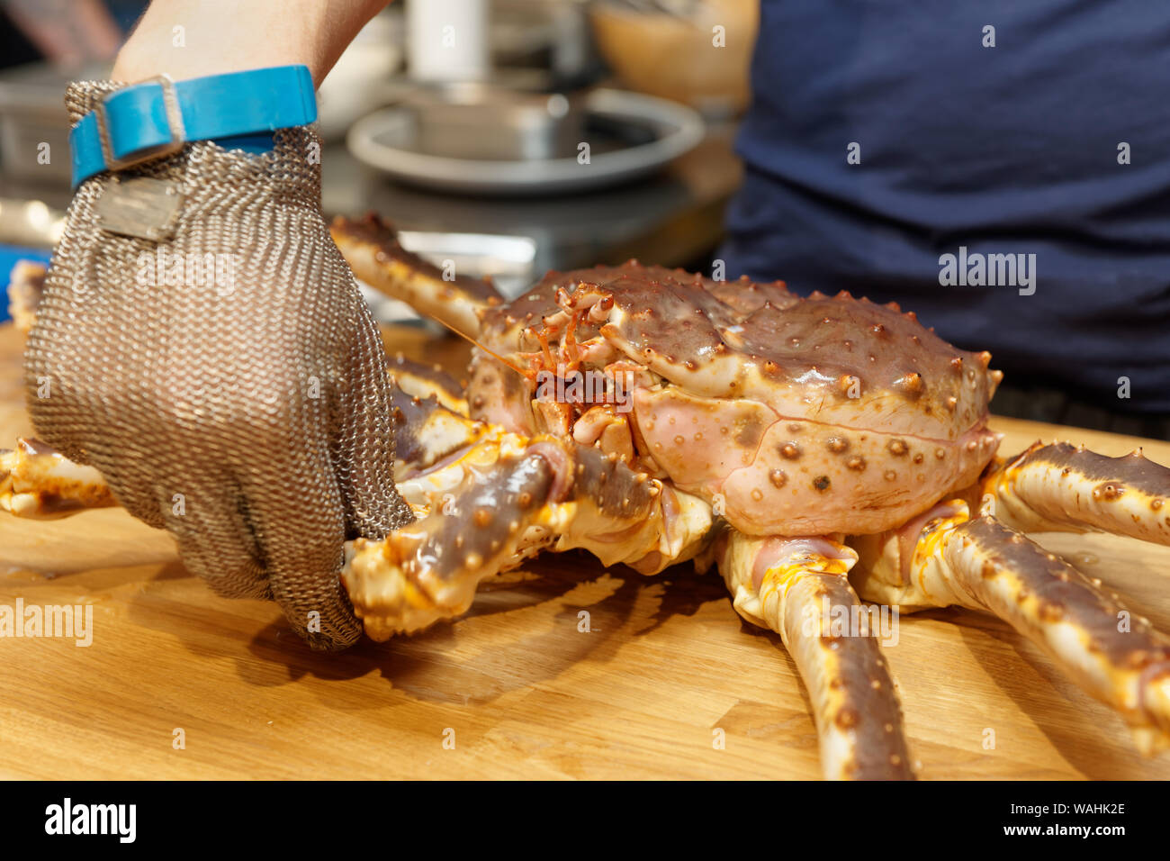 Lo chef è dimostrare il granchio live per i clienti, utilizzando guanto blindati Foto Stock