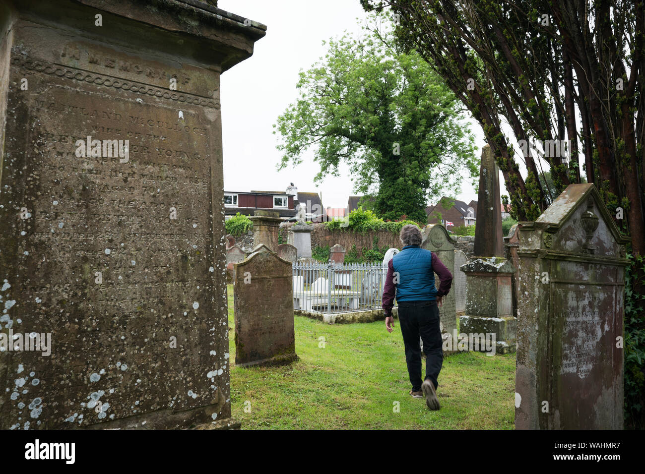 Maschio adulto turisti in un giubbotto blu passeggiate attraverso un vecchio cimitero, Wigtown Chiesa Parrocchiale cimitero in un giorno di pioggia, Wigtown, Dumfries & Galloway, Scozia Foto Stock