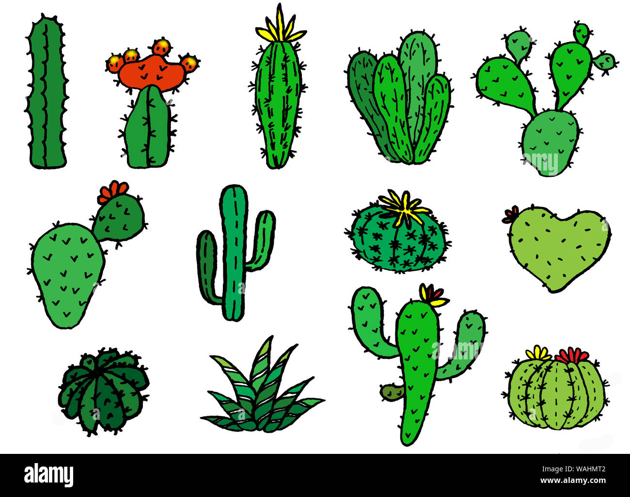 Vettore Collezione disegnare a mano di cactus Foto Stock