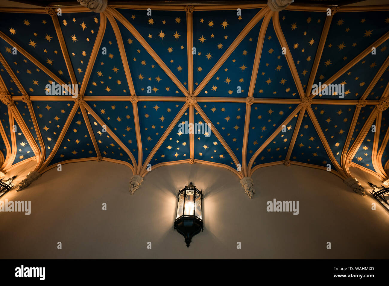 Particolare del soffitto di stelle su un dipinto di blu di sfondo con incorniciatura di oro nel corridoio al ingresso del Castello di Lews, un mock Tudor edificio costruito nel XIX cen Foto Stock