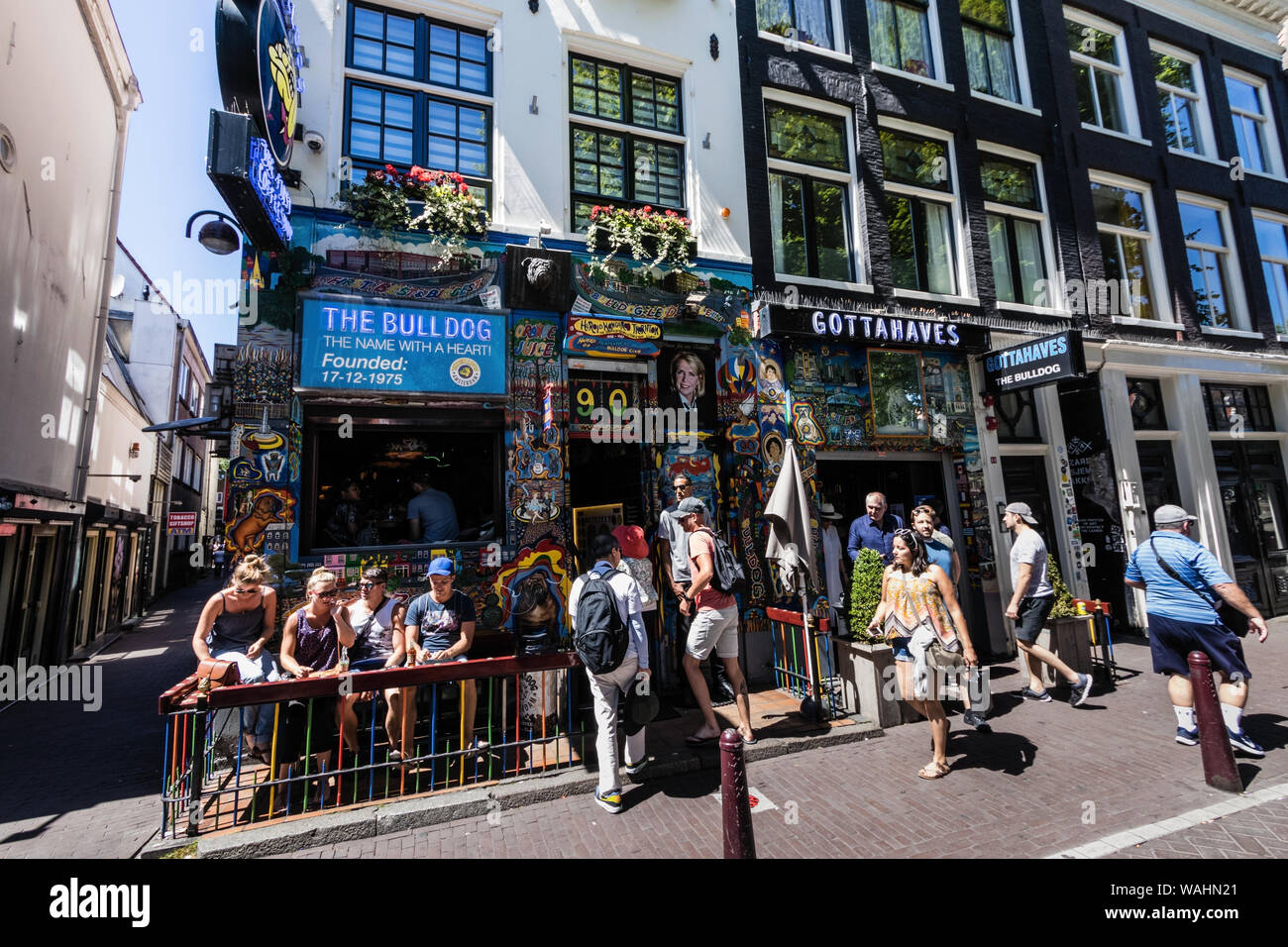 Uno dei rami del Bulldog coffee shop su Oudezijds Voorburgwal, Amsterdam Foto Stock