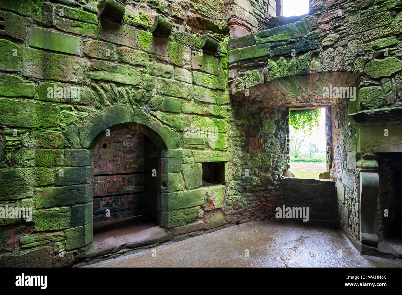 Mossy interno di un castello nel sud della Scozia Foto Stock