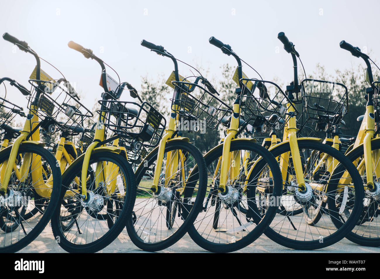 Parcheggio biciclette in campus Foto Stock