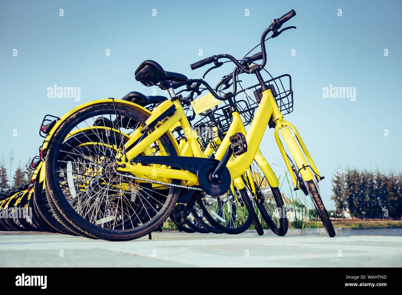 Parcheggio biciclette in campus Foto Stock