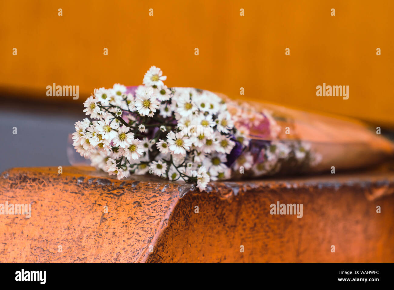 Bouquet di Daisy bianca fiori avvolti in carta con sfondo arancione Foto Stock