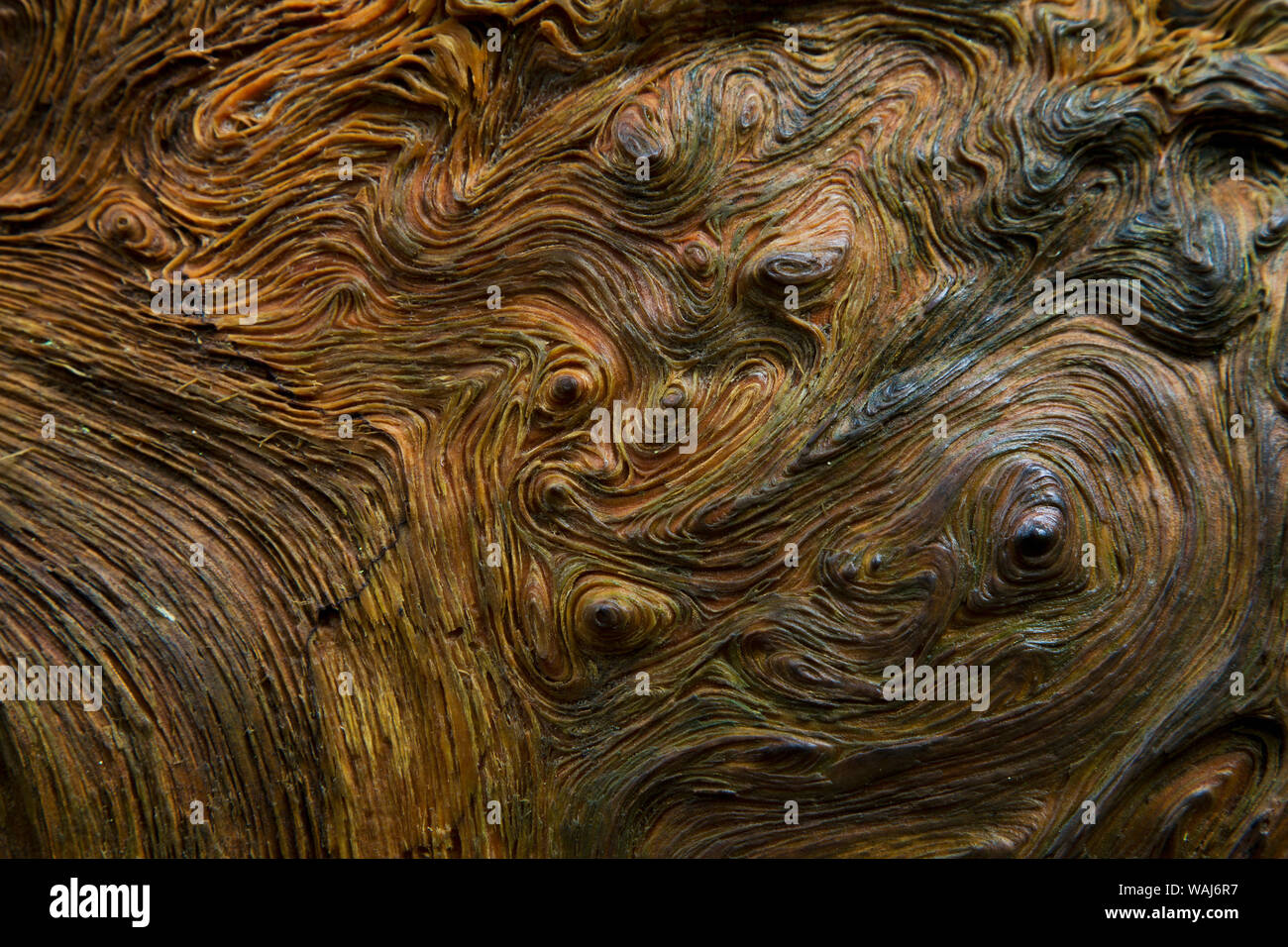 Abstract a grana di legno Foto Stock