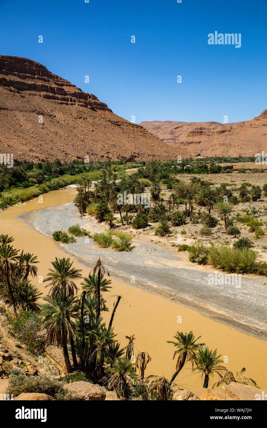 Ziz Valley, Marocco. Ziz Valley Gorge e palme Foto Stock