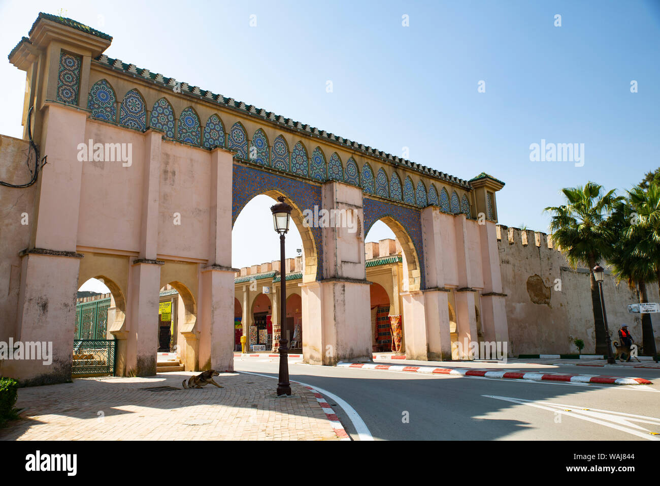 Meknes, Marocco. Piastrella mosaico gateway per la città e un cane Foto Stock