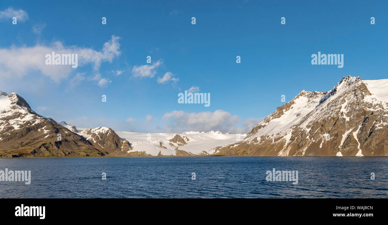 Fortuna Bay con Fortuna ghiacciaio, reso famoso da Ernest Shackleton il famoso incrocio della Georgia del Sud. Foto Stock