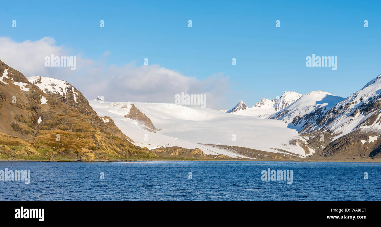 Fortuna Bay con Fortuna ghiacciaio, reso famoso da Ernest Shackleton il famoso incrocio della Georgia del Sud. Foto Stock