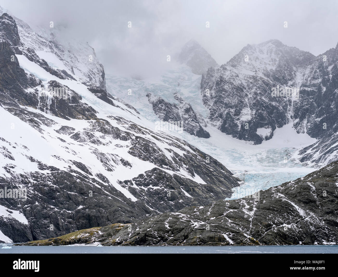 Ghiacciai del fiordo Drygalski all'estremità meridionale della Georgia del Sud. Foto Stock