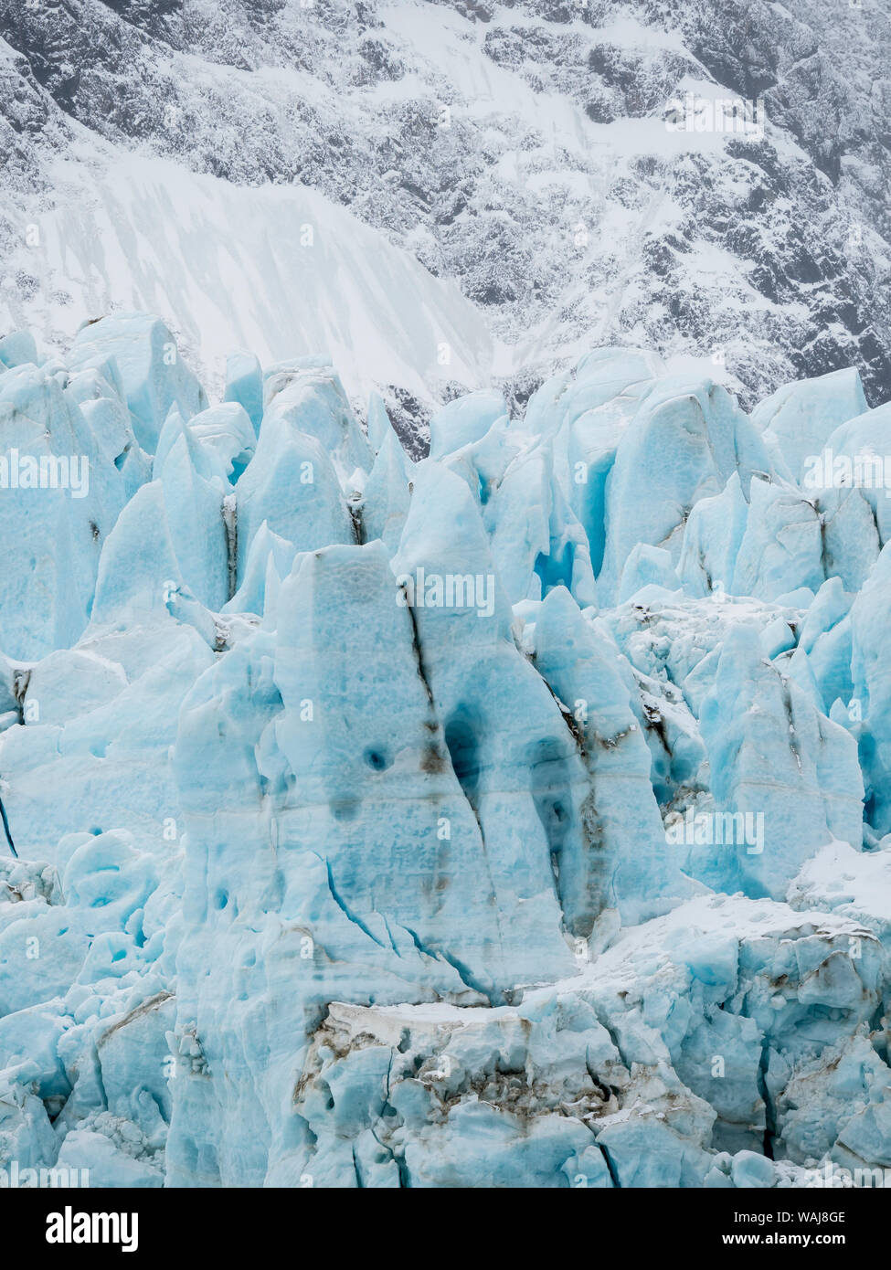 Ghiacciai del fiordo Drygalski all'estremità meridionale della Georgia del Sud. Foto Stock