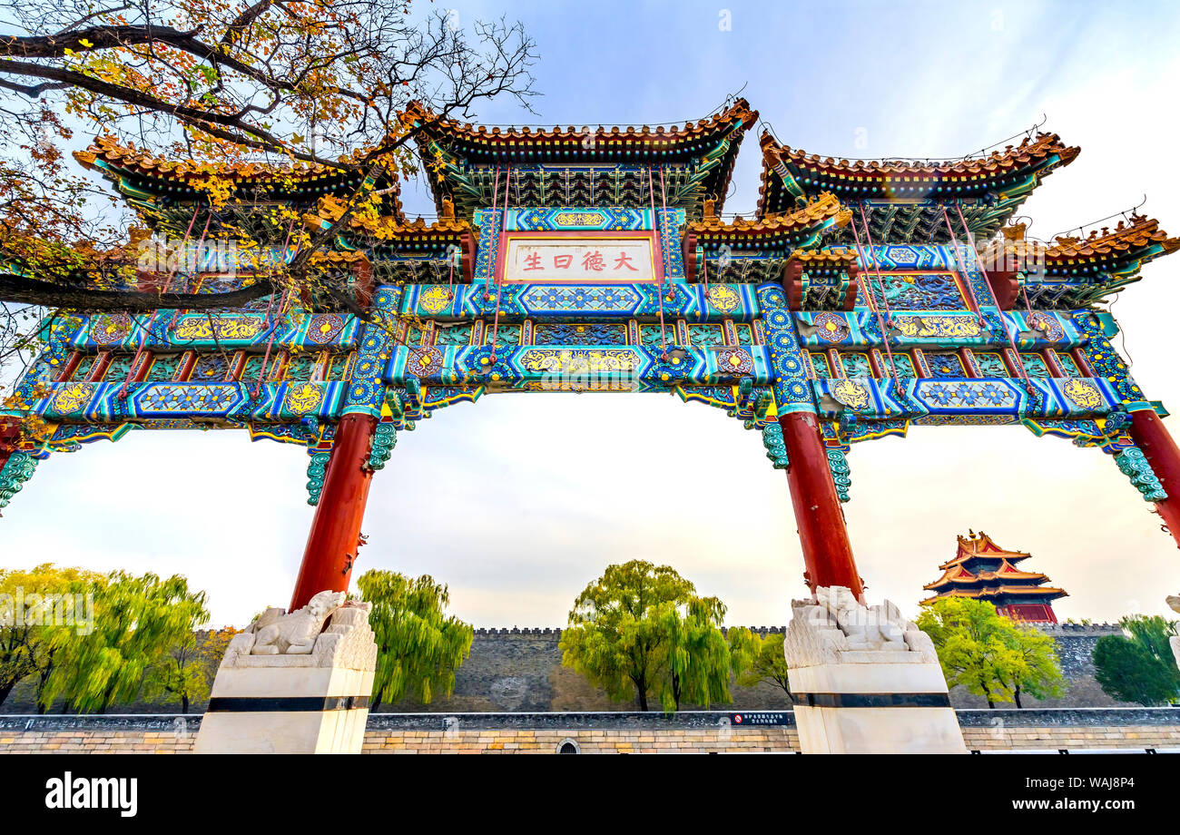 Ornati gate cinese. Torre di freccia, Gugong Città Proibita di Pechino, Cina. Imperatore del palazzo costruito nel 1600 durante la Dinastia Ming. I caratteri cinesi si traduce in "grande moralità tutta la vita". Foto Stock