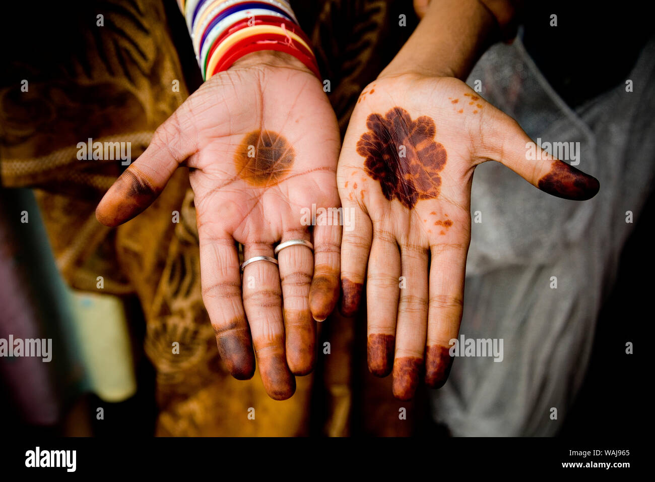 India Rajasthan. Donna con le mani henna colorazione. Credito come: Jim Nilsen Jaynes / Galleria / DanitaDelimont.com Foto Stock