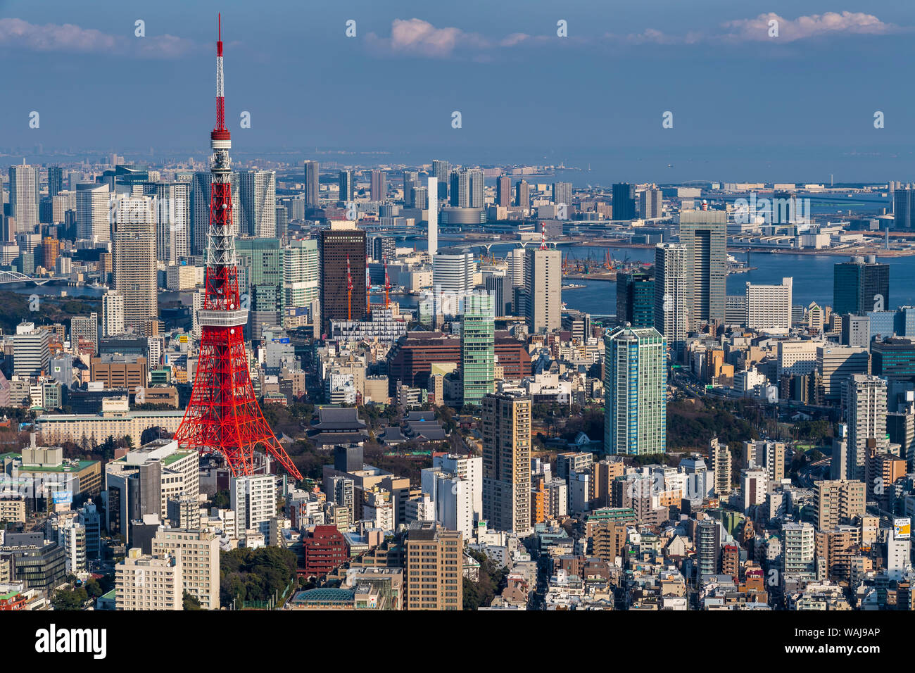 Vista della Baia di Tokyo tra cui la Tokyo Tower di comunicazioni Foto Stock