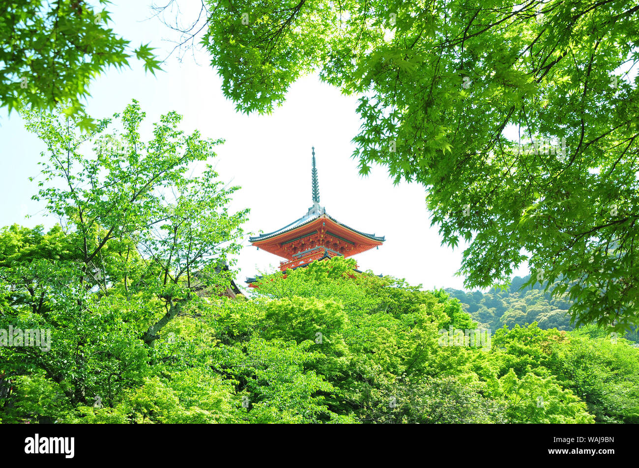 Tempio di Kiyomizu Foto Stock