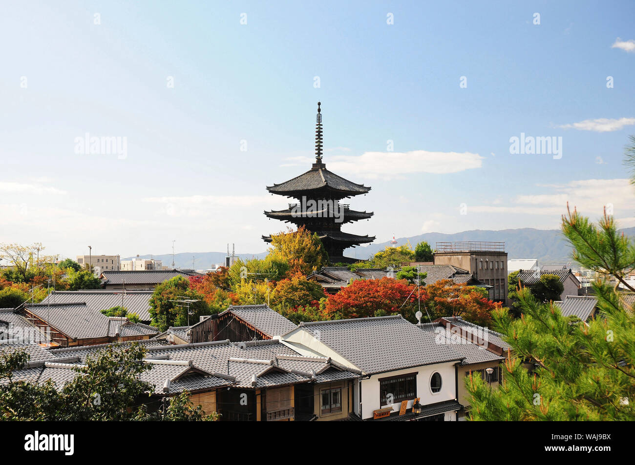 Pagoda in città Foto Stock