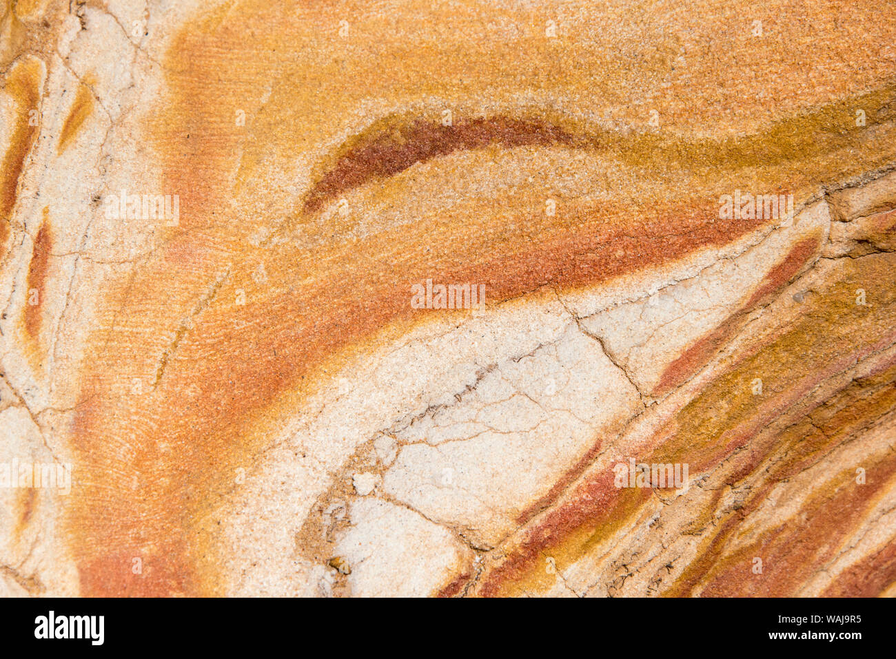 Australia, Nuovo Galles del Sud di Sydney. Spiagge ad Est. Per Bondi e Coogee passeggiata costiera Patterns in arenaria Foto Stock