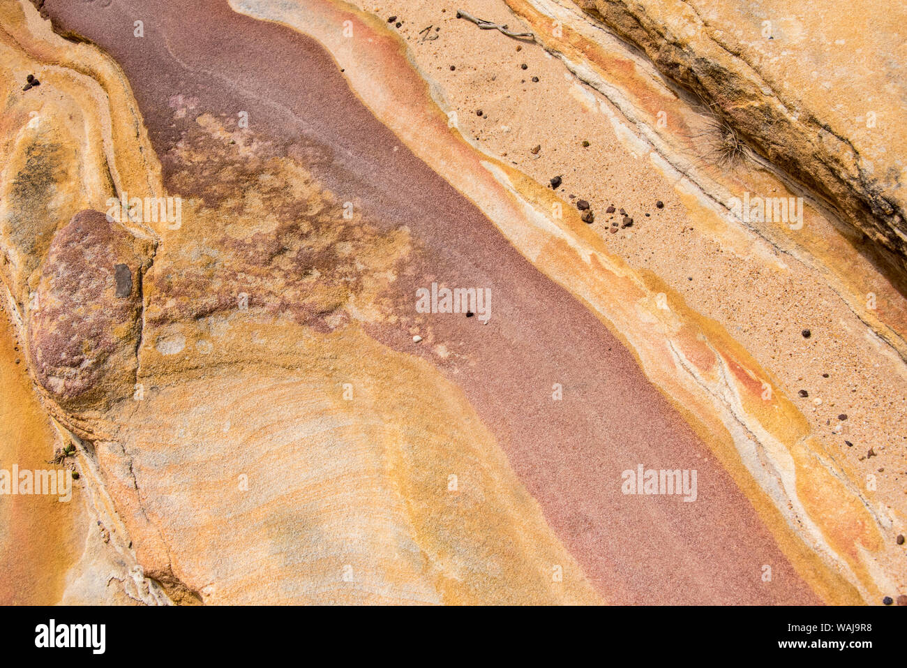Australia, Nuovo Galles del Sud di Sydney. Spiagge ad Est. Per Bondi e Coogee passeggiata costiera Patterns in arenaria Foto Stock