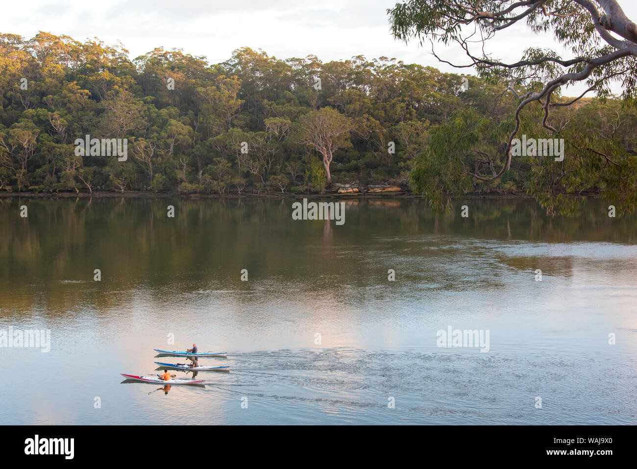 Australia, Nuovo Galles del Sud, sobborgo di Sydney Lugarno. Kayakers sul tranquillo Fiume Georges Foto Stock