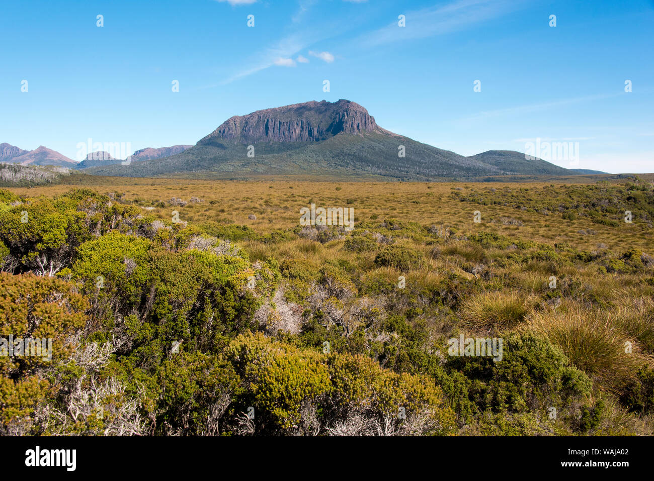 Australia e Tasmania, Cradle Mountain-Lake St Clair National Park. Overland Track pulsante vista erba palustre. Foto Stock