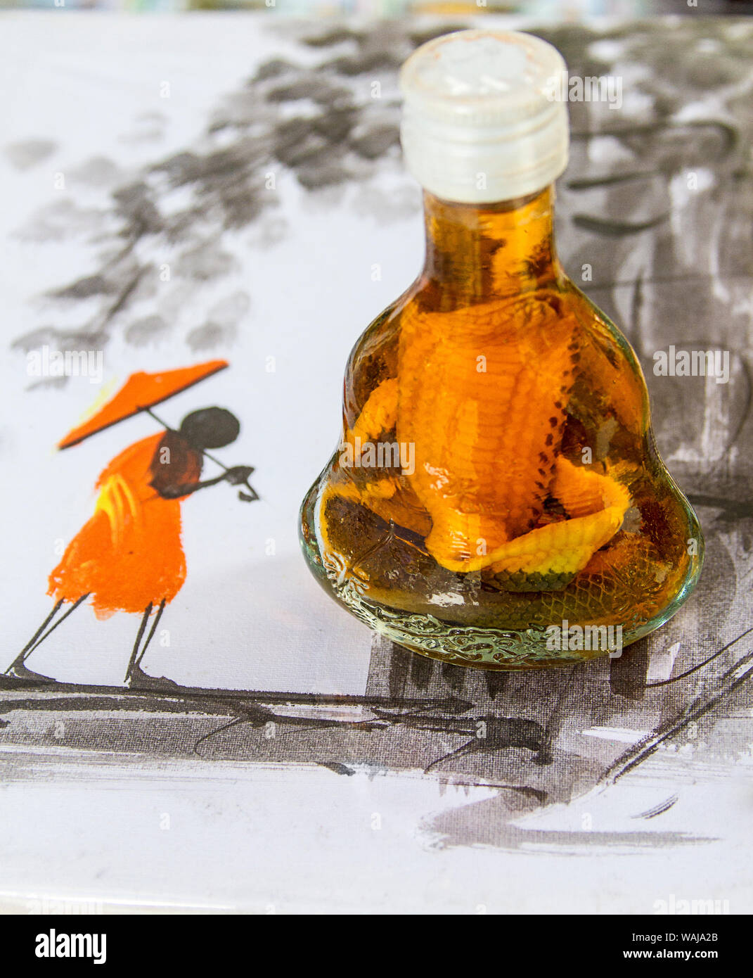 Phnom Penh Cambogia. Il vino di riso in plastica con il modello di serpente cobra venduto come un souvenir seduto su di un dipinto di un locale rurale scena cambogiano. (Solo uso editoriale) Foto Stock