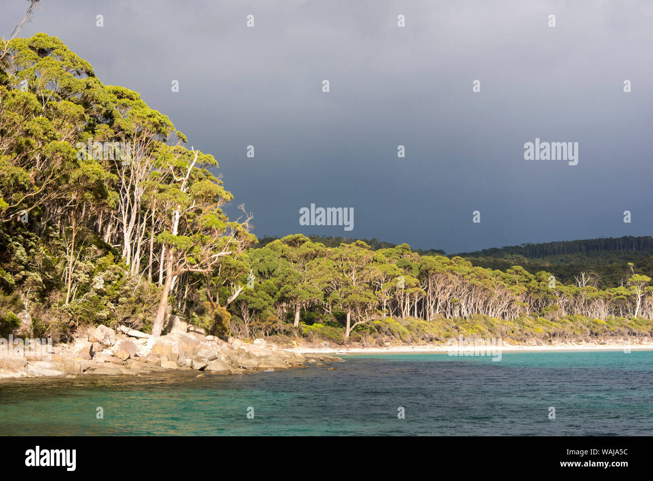 Australia e Tasmania, Tasman National Park. Storm sky Fortescue Bay Foto Stock